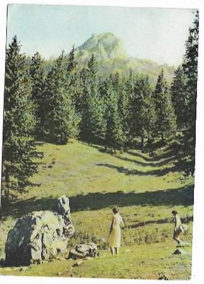 Tatry Zachodnie - sfinks w Dolinie Strążyskiej