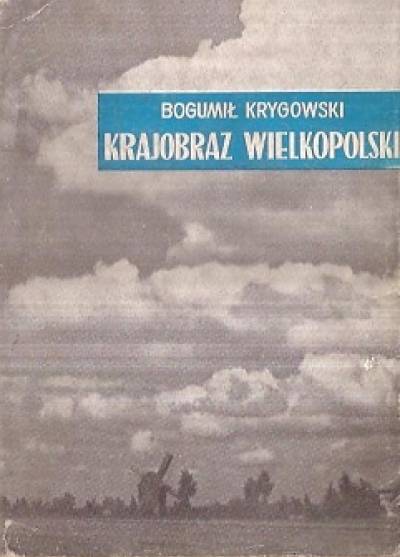 Bogumił Krygowski - Krajobraz wielkopolski i jego dzieje