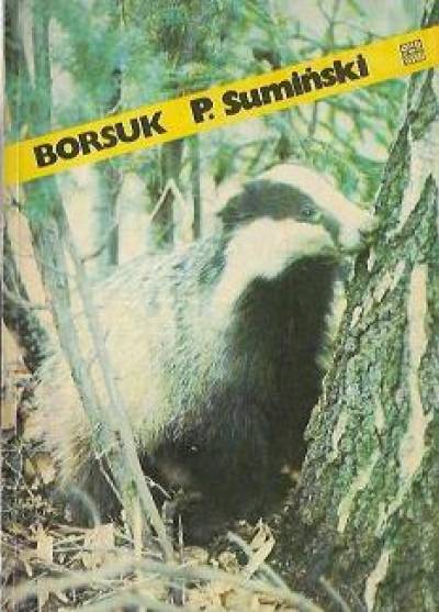 Piotr Sumiński - Borsuk