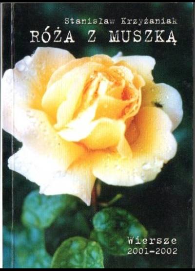 Stanisław Krzyżaniak - Róża z muszką