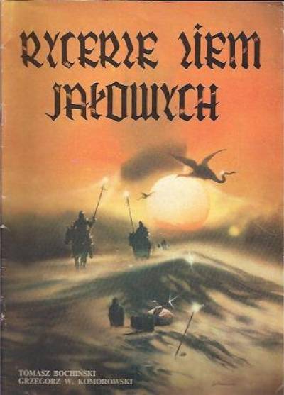 Tomasz Bochiński, Grzegorz W. Komorowski - Rycerze ziem jałowych