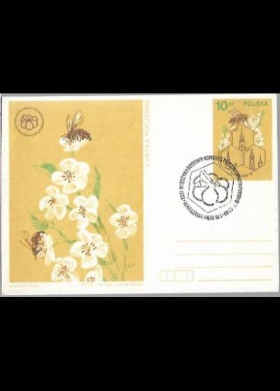 K. Śliwka - XXXI międzynarodowy kongres pszczelarski Apimondia 1987 (kartka pocztowa)