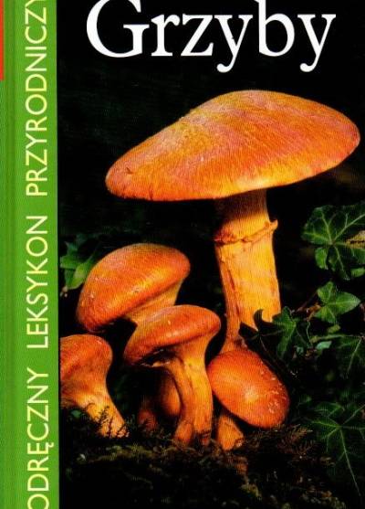 Ettore Bielli - Grzyby. Podręczny leksykon przyrodniczy