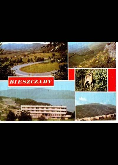 Bieszczady - mozaika, 1975