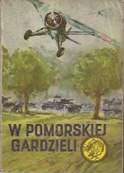 Kazimierz sławiński - W pomorskiej gardzieli (żółty tygrys)