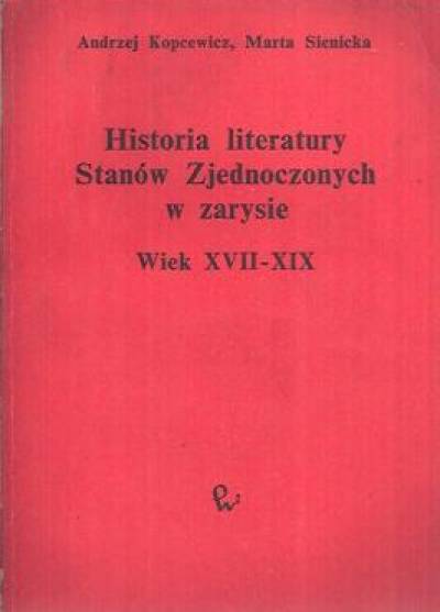 Andrzej Kopcewicz, Marta Sienicka - Historia literatury Stanów Zjednoczonych w zarysie. Wiek XVII-XIX