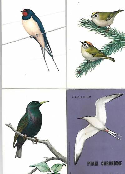 Jerzy Desselberger - Ptaki chronione - seria III ( komplet 9 pocztówek w obwolucie)