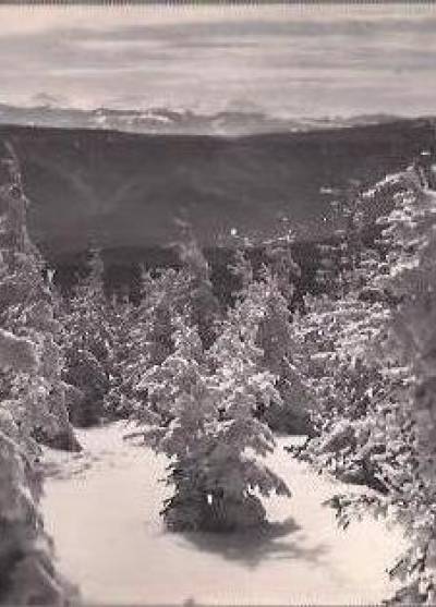 fot. s. czernelecki - Beskid Śląski - widok ze Skrzycznego na Baranią górę i na Małą Fatrę  [1966]