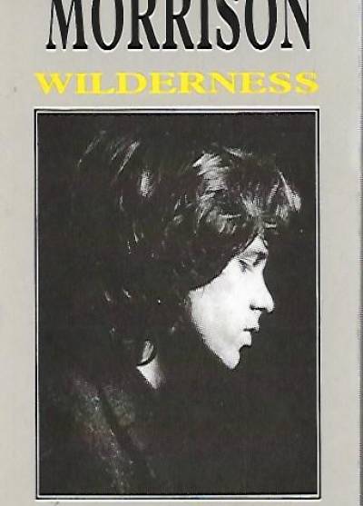 Jim Morrison - Widerness / Dzikie pustkowie. Zaginione utwory Jima Morrisona (dwujęzyczne)
