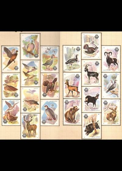 ptaki i zwierzęta - numerowana jugosłowiańska seria 20 etykiet