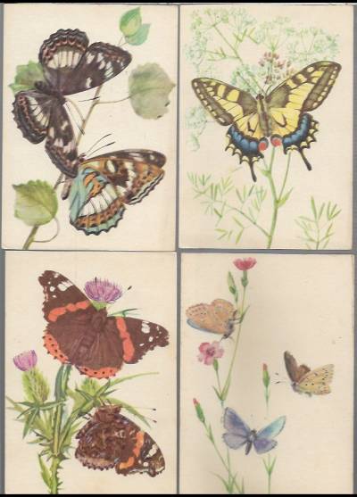 Alojzy Balcerzak - motyle - komplet 9 pocztówek bez obwoluty, 1963