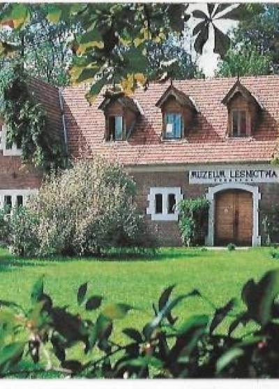 fot. S. Kulawiak - Dybul - Muzeum Leśnictwa