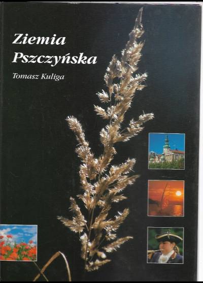 Tomasz Kuliga - Ziemia pszczyńska (album)