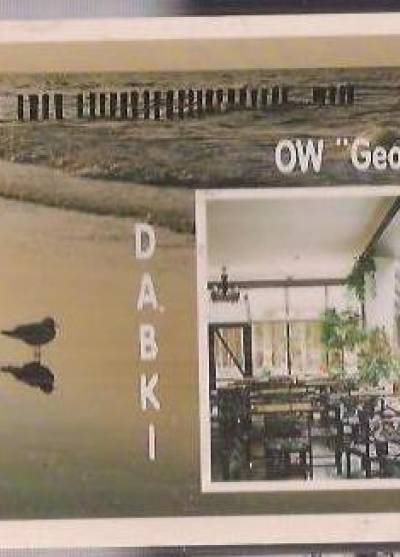 Dąbki - OW Geolog