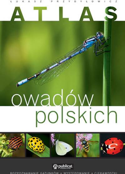 Łukasz przybyłowicz - Atlas owadów polskich