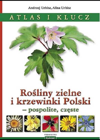 A. i A. Urbisz - Rośliny zielne i krzewinki Polski - rośliny pospolite, częste. Atlas i klucz