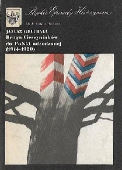Janusz Gruchała - Droga Cieszyniaków do Polski Odrodzonej (1914-1920)