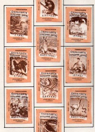 Chrońcie pożyteczne dzikie ptaki/zwierzęta - seria 10 rosyjskich etykiet, 1957