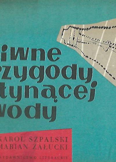 Karol Szpalski, Marian Załucki - Dziwne przygody płynącej wody (1965)