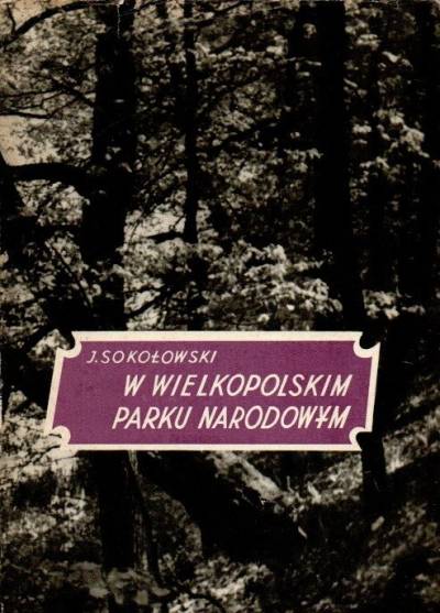 JAn Sokołowski - W Wielkopolskim PArku Narodowym