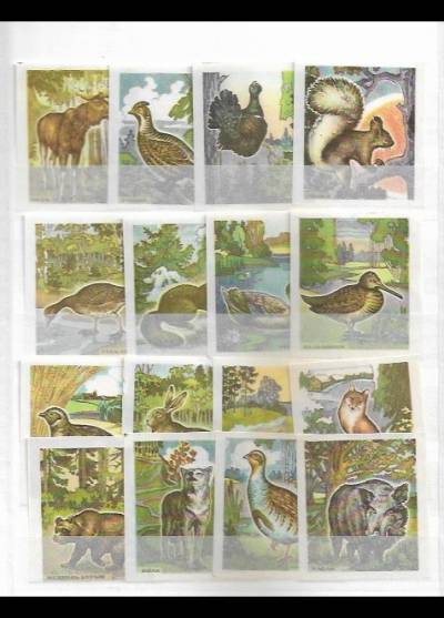 Ptaki i zwierzęta leśne - seria 16 rosyjskich etykiet