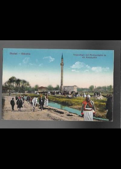 Scutari (Szkodra) - Truppenlager und Pferdeparkplatz im albanische Kampfgebfet  (ok. 1913-1915)