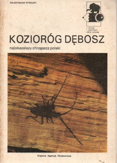 Władysław Strojny - Kozioróg dębosz - najokazalszy chrząszcz polski