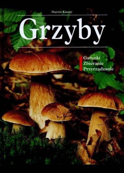 Martin Knoop - Grzyby. Gatunki - zbieranie - przyrządzanie