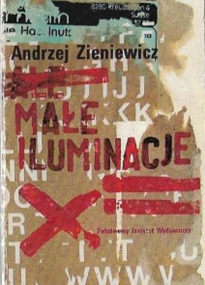 Andrzej Zieniewicz - Małe iluminacje. Formy prozatorskie Mirona Białoszewskiego