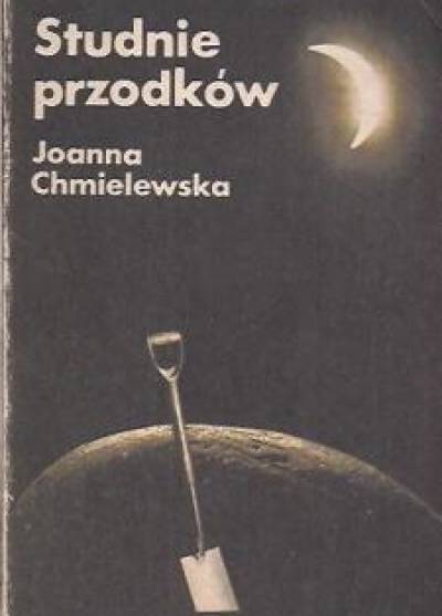 Joanna Chmielewska - Studnie przodków