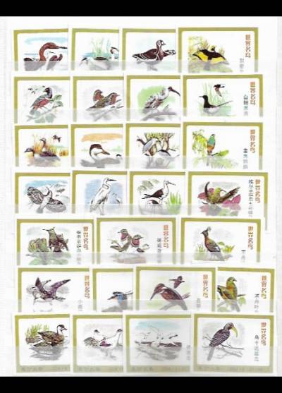 ptaki - 27 chińskich etykiet
